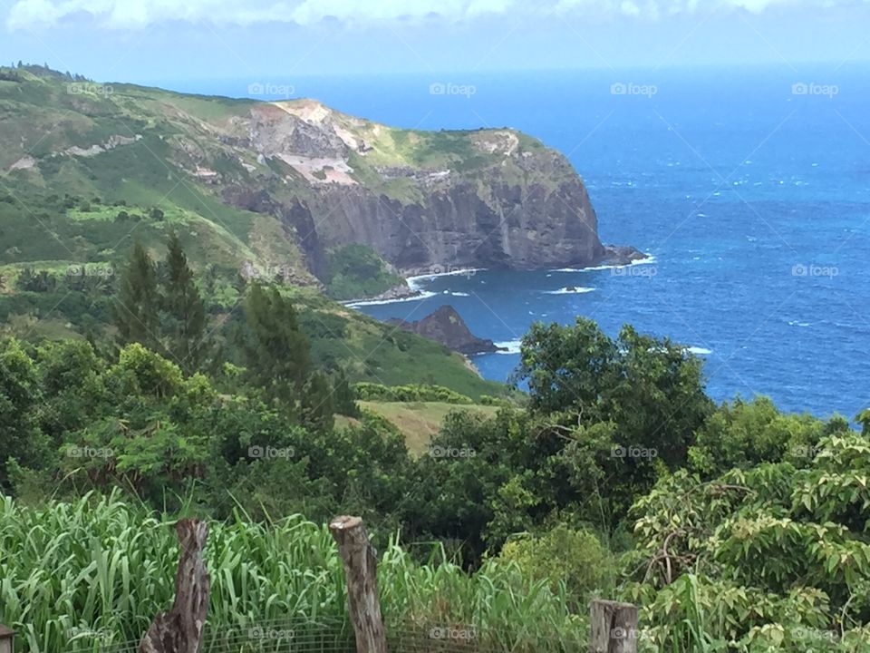Hawaiian Landscape 