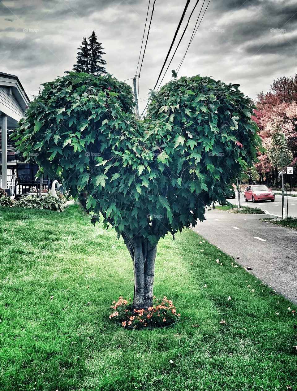 green heart