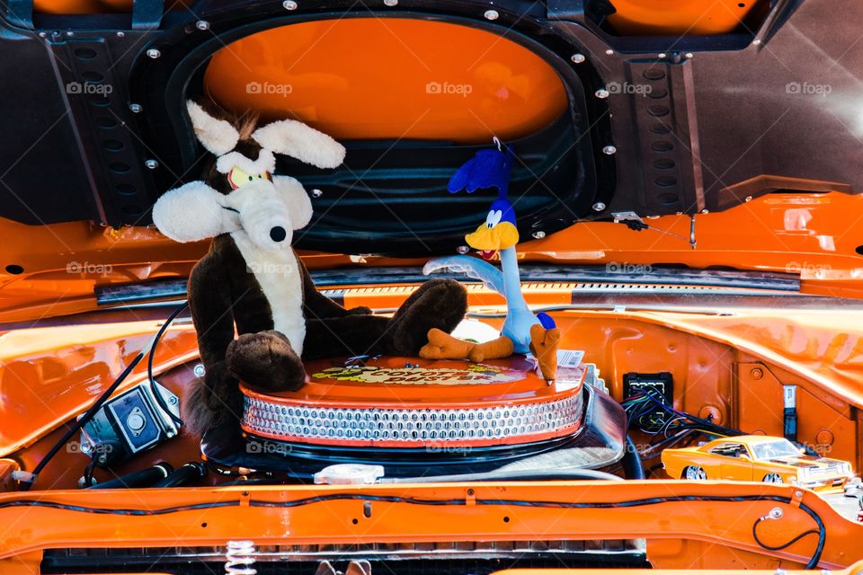 Roadrunner and Coyote