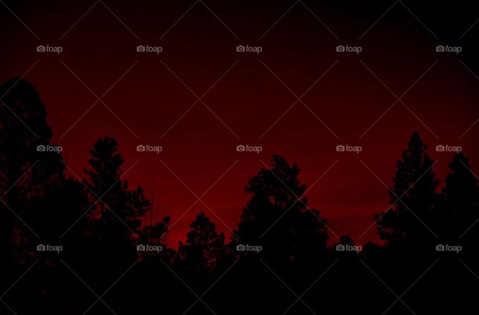 An ominous vivid red sunrise creates the most dramatic sky. A forest is black in the foreground.