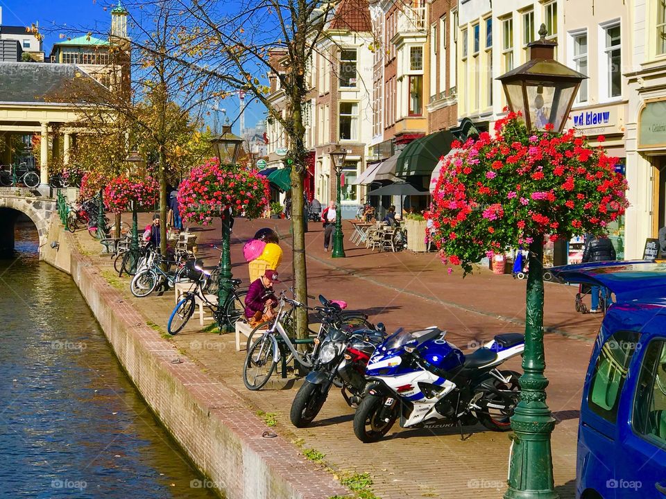Leiden bikes by the canal
