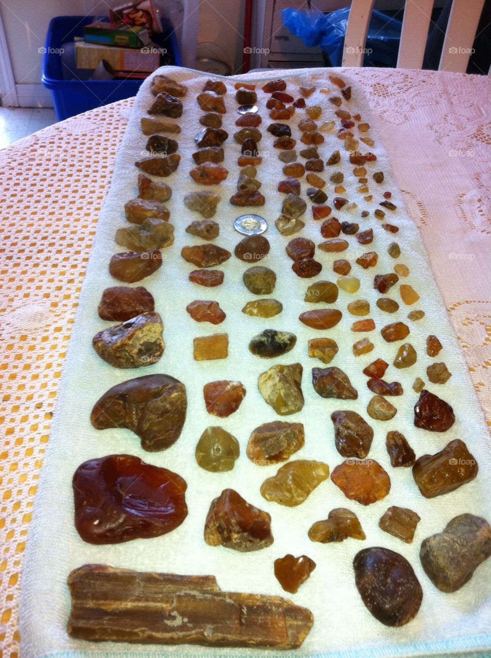 My Amber collection from 1 summer.