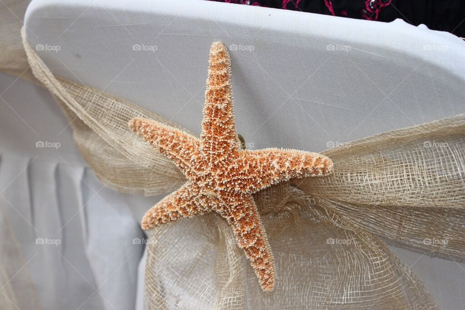 Starfish