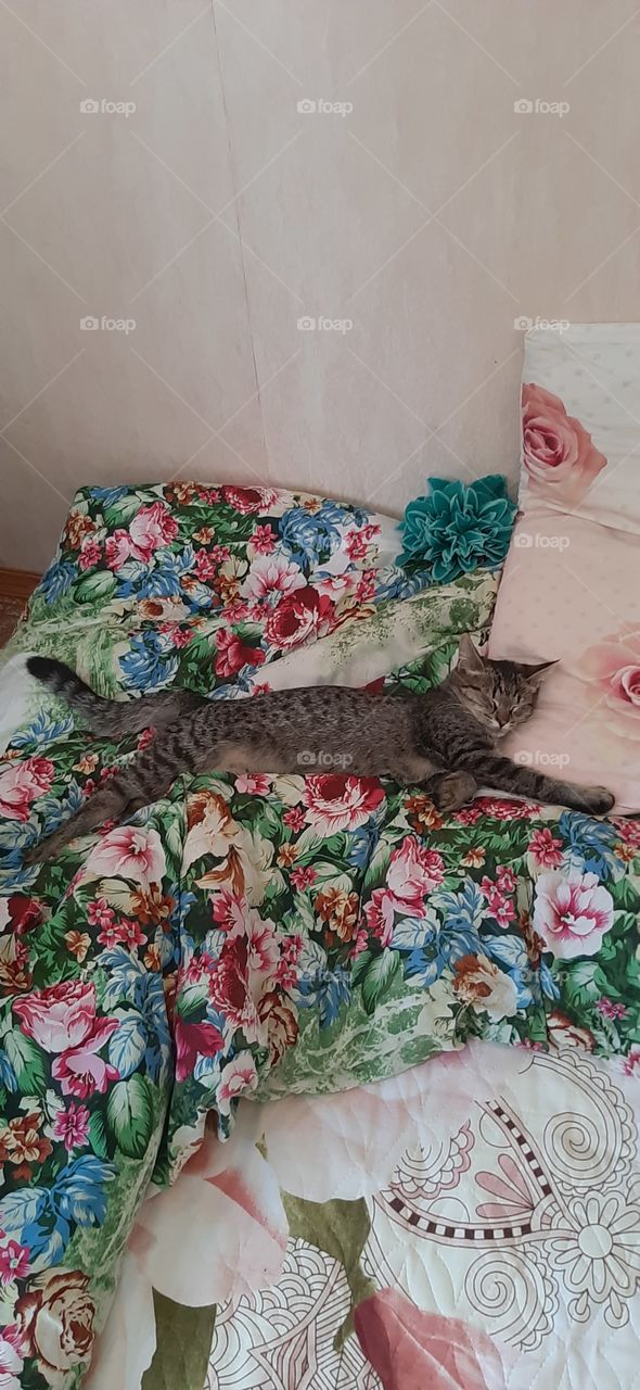 Ой   одной   всё   таки   лудше   спать!