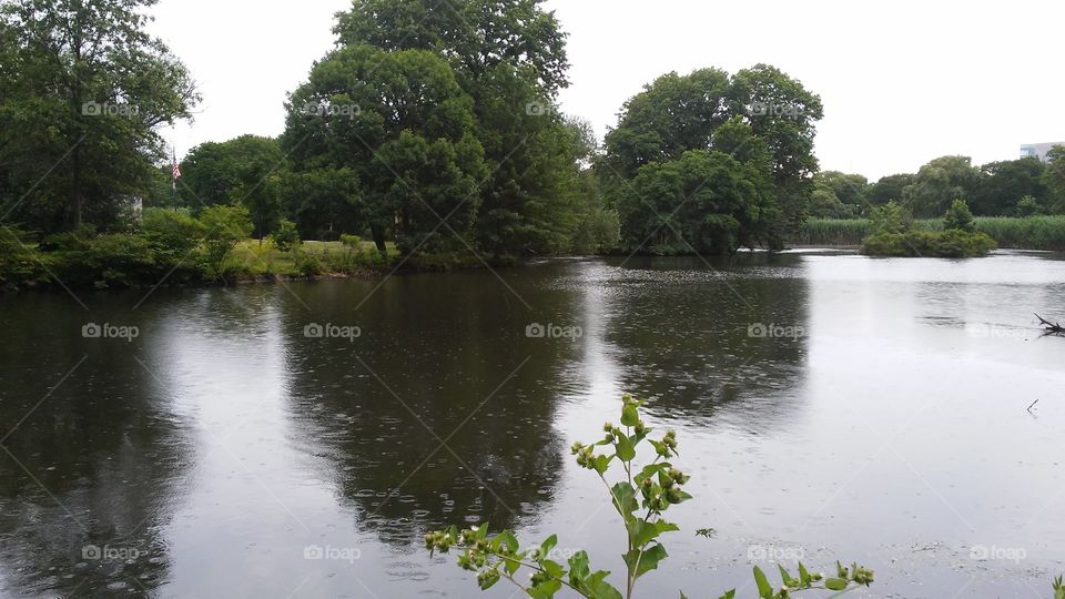 Water, River, No Person, Nature, Tree