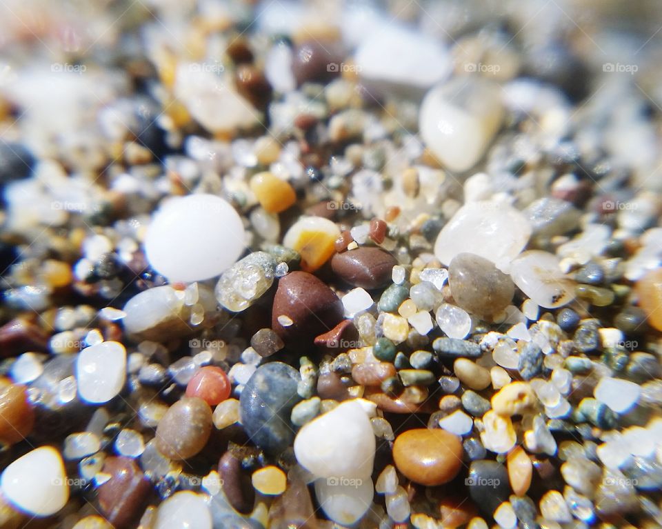 Beautiful macro shot of some colorful beach rubble at Point Reyes, taken with my Galaxy S5 and a macro lens