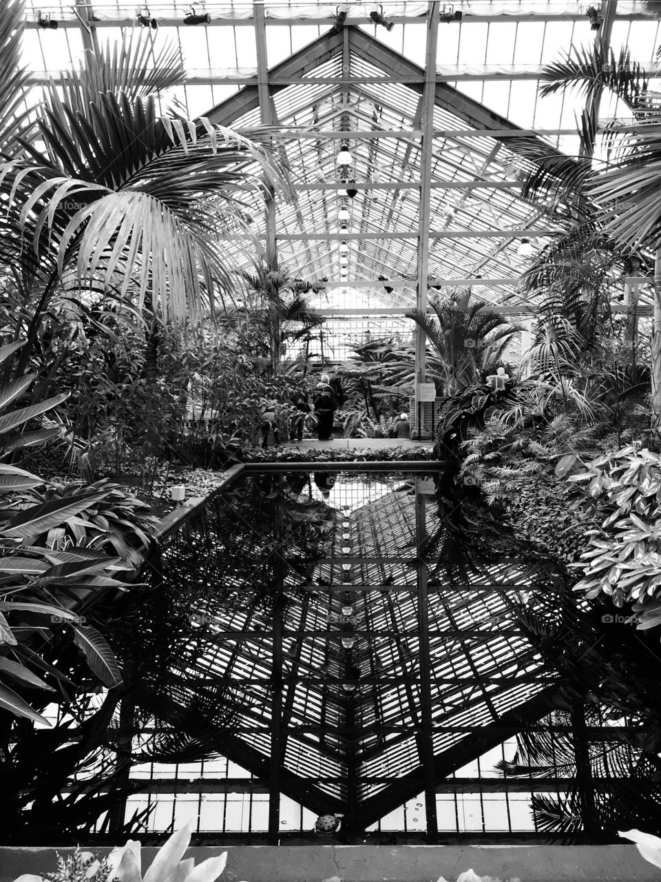 Garfield Park Conservatory 