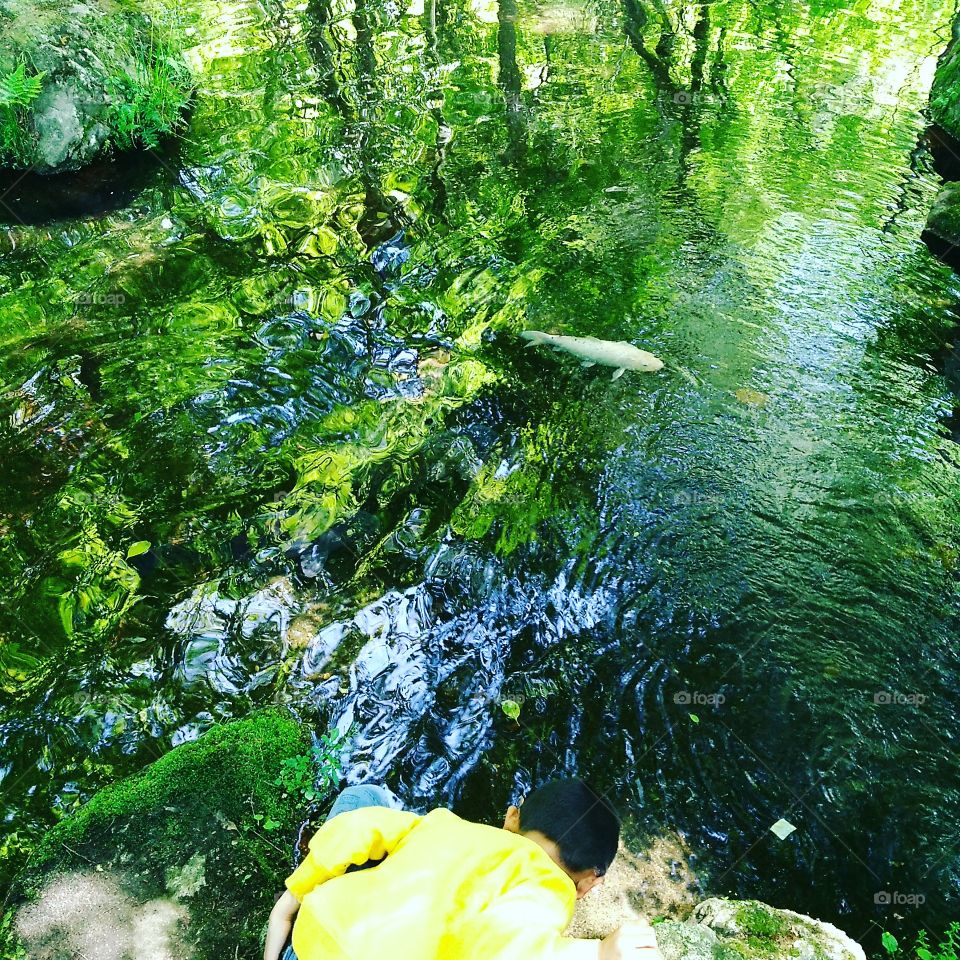 Lago oriental Japonês