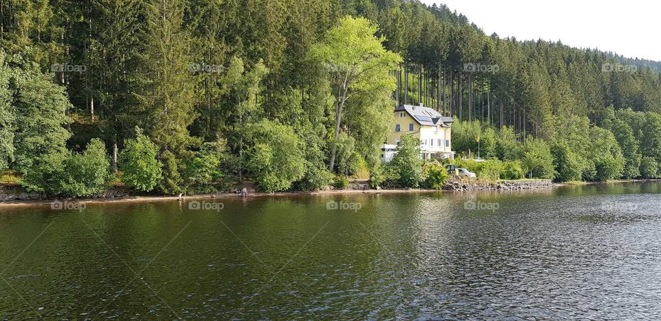 The house between the trees