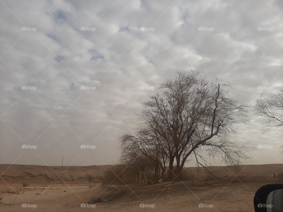 Please make me happy, I am poor, I need your help with support