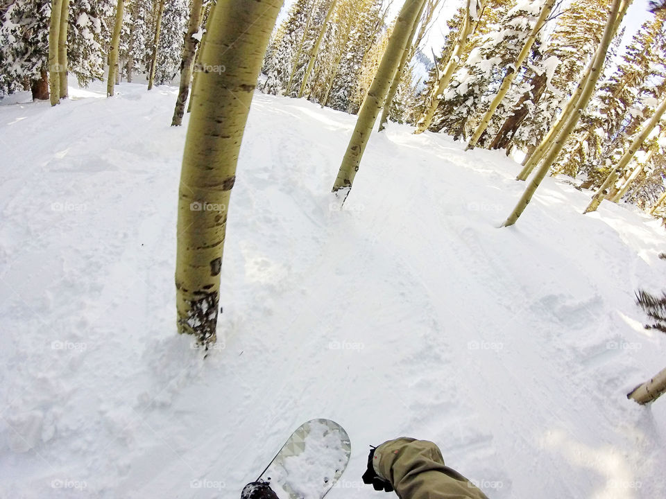 Snowboarding in the forest