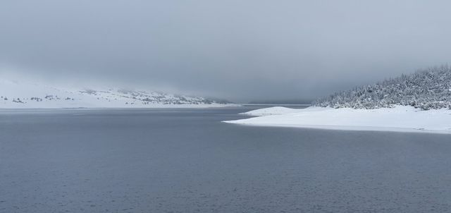 ❄️