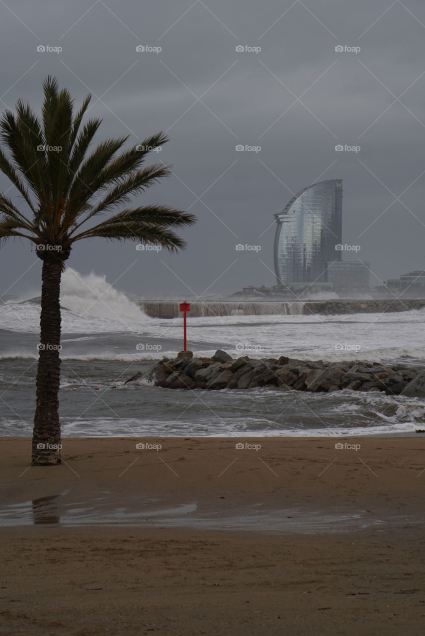 Mediterranean Winter