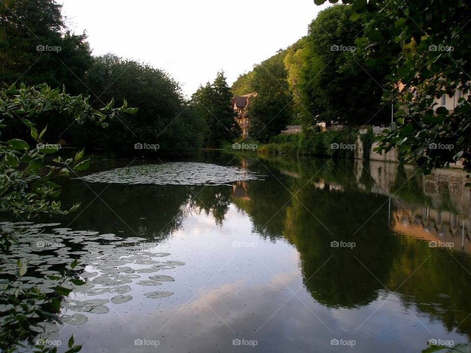 Seine Water Lillies