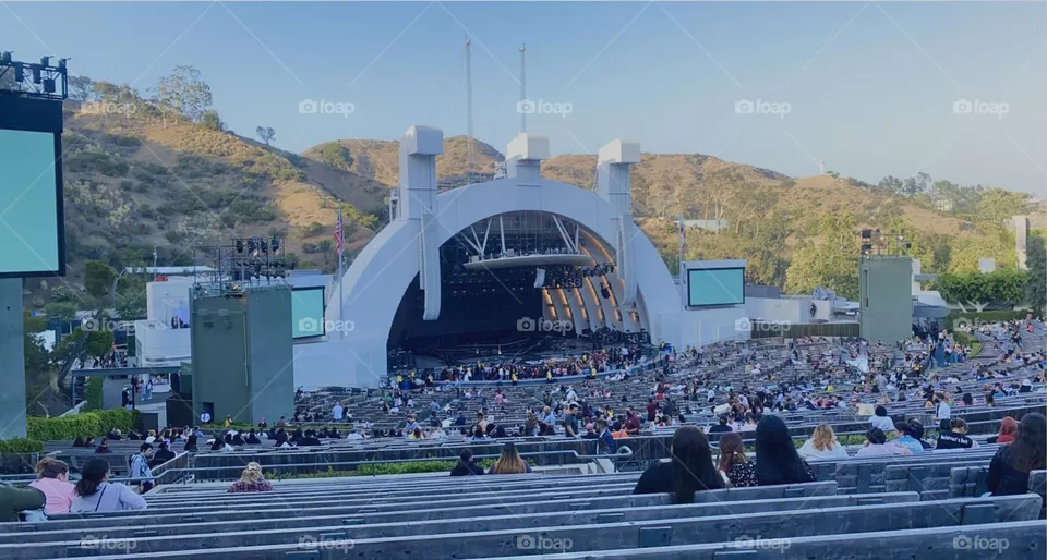 Hollywood bowl 