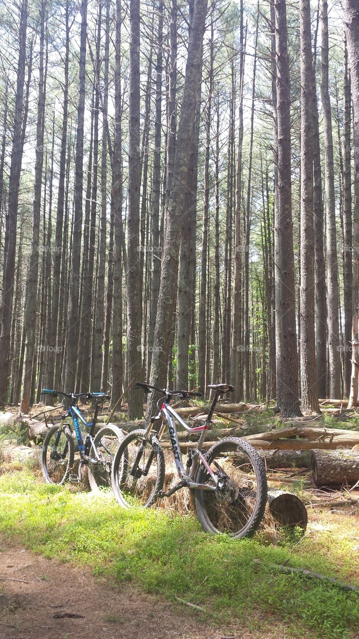 riding through the woods