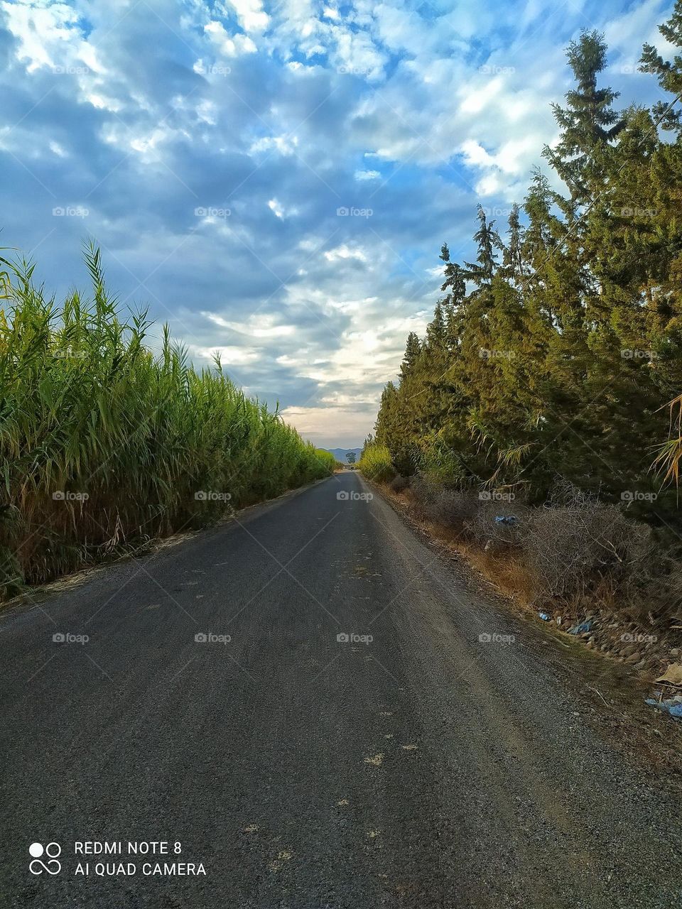 spring vibe from the Moroccan country sides