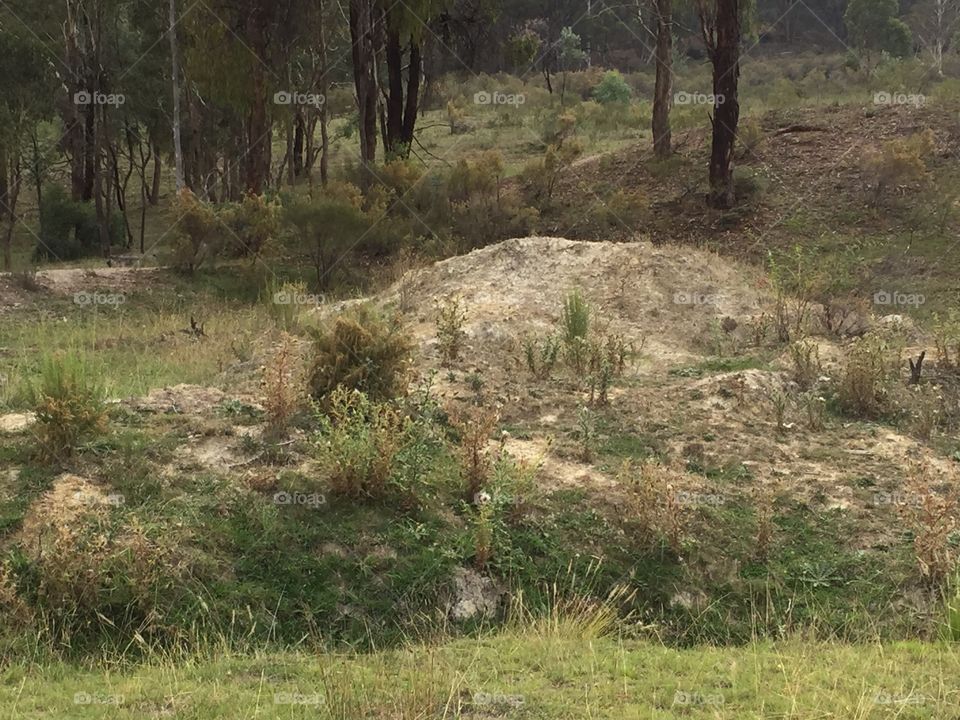 Clay mountain with plants and trees surrounding it