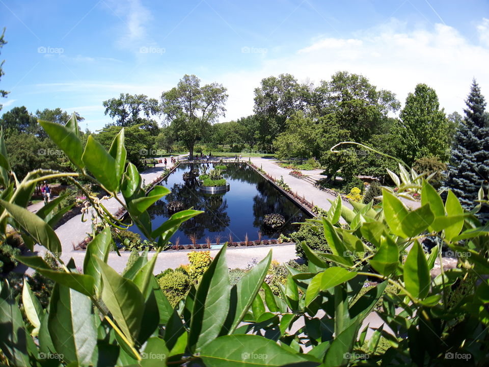 Beautiful Botanical Garden Montreal