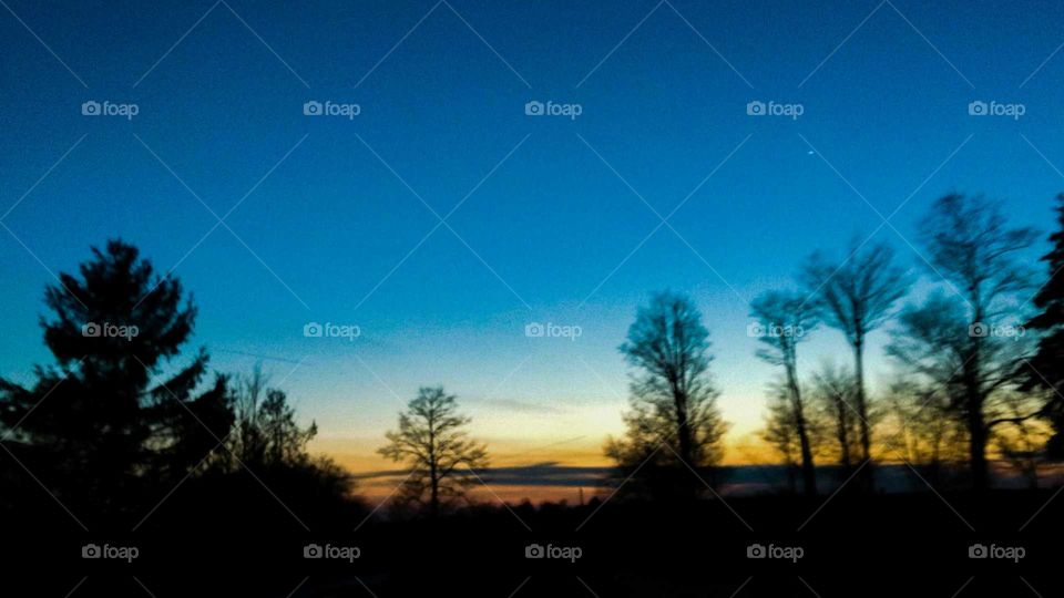 No Person, Tree, Sunset, Dawn, Landscape