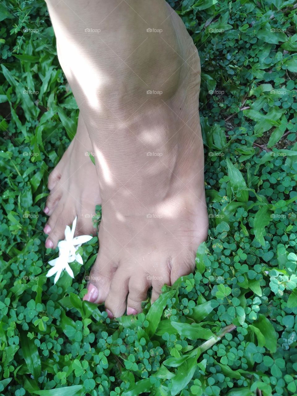 Love as if you are kissing the earth with your feet.