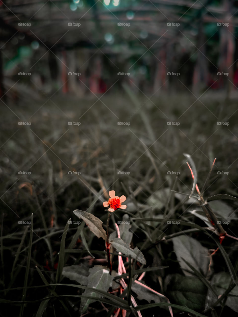 A piece is of gold 🌸