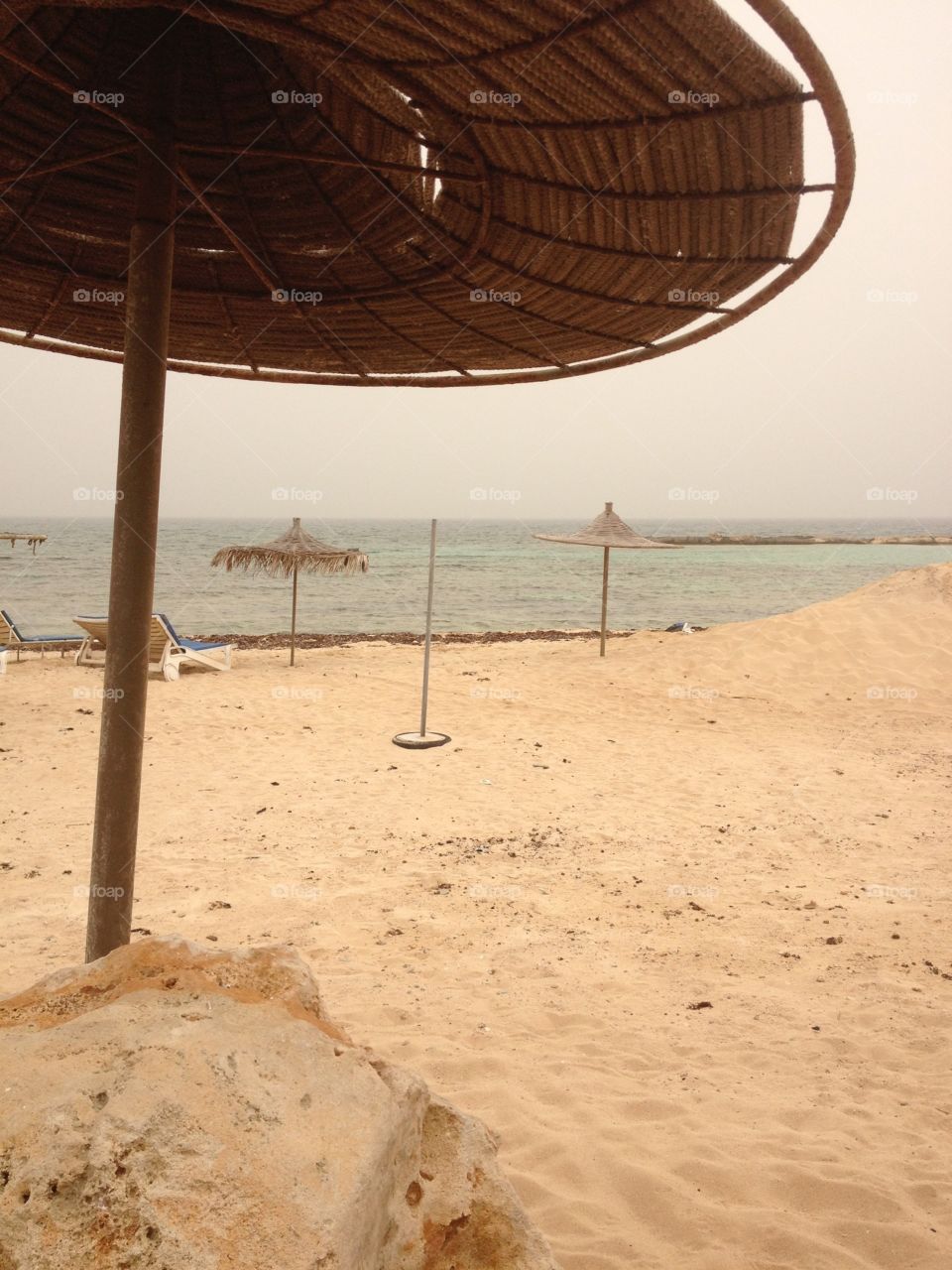 Umbrellas, beach in Ayia Napa 