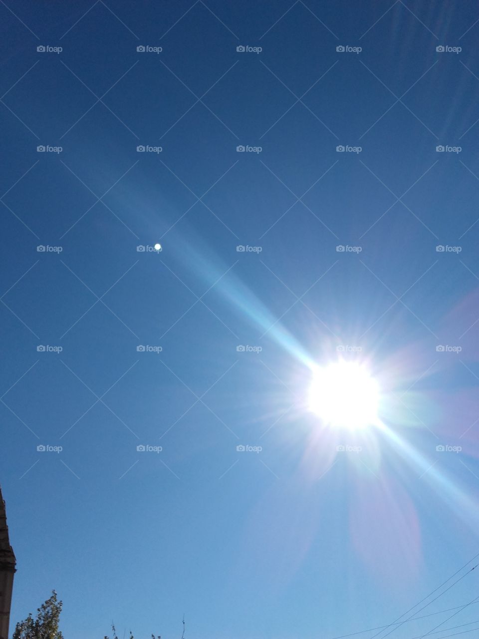 The sunny is shining