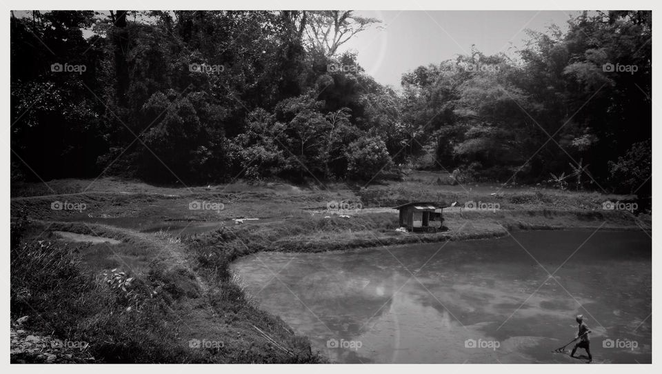 Landscape-captured on March, 6th 2023 the scenic contains trees, rice field a farmer is leveling soil mud for planting media.