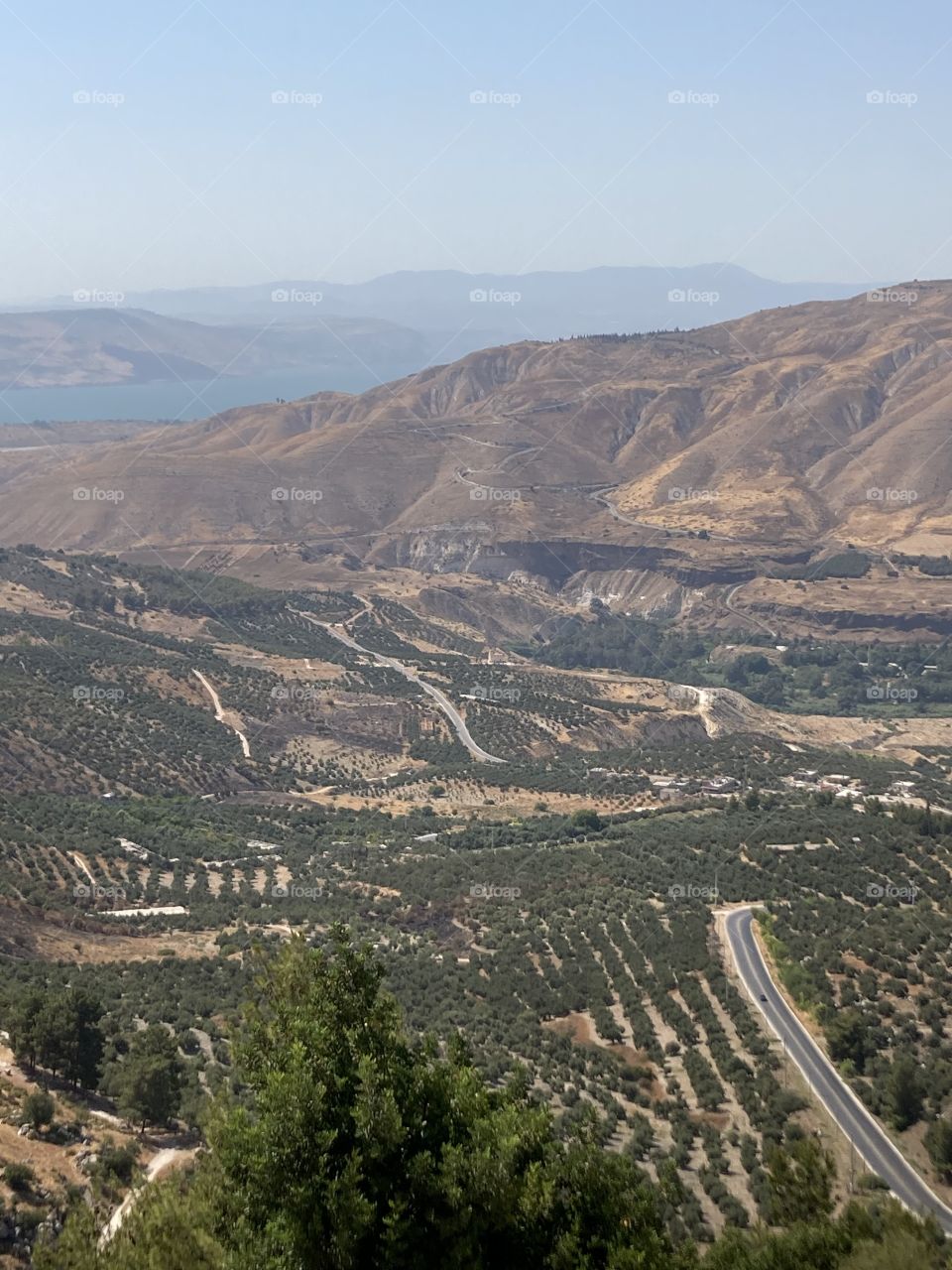 Beautiful nature in Jordan