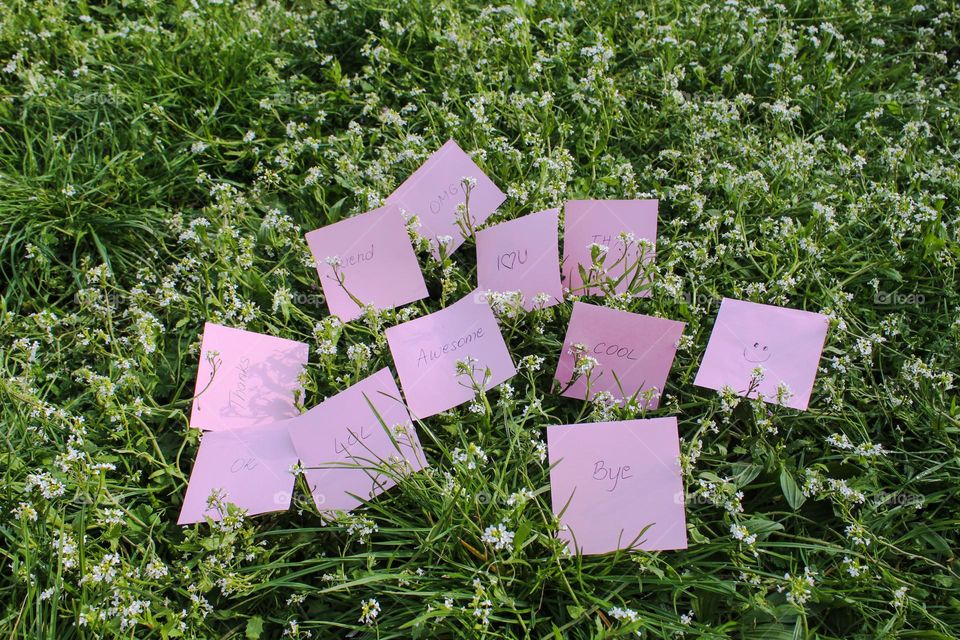 Daily message all around us, even on the green flowers meadow,  written on baby pink pieces of paper