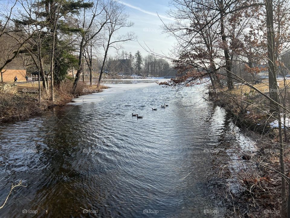 Mt Holyoke College 