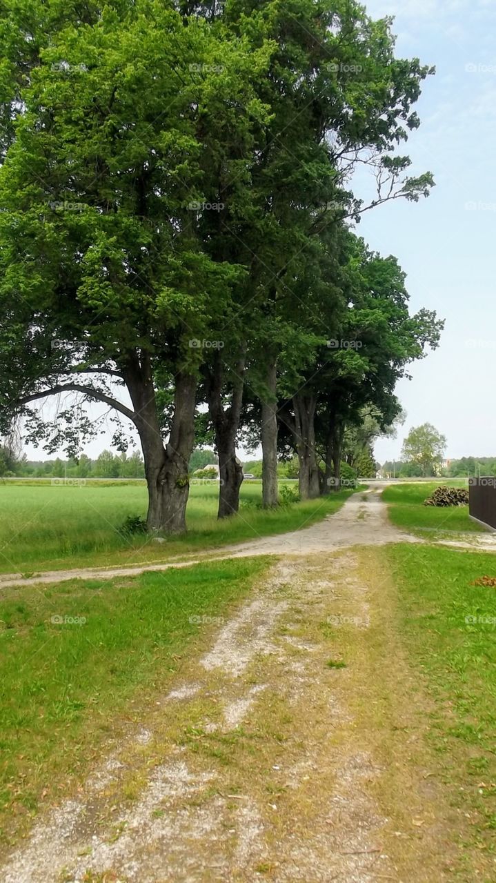 Latvija road from the farm