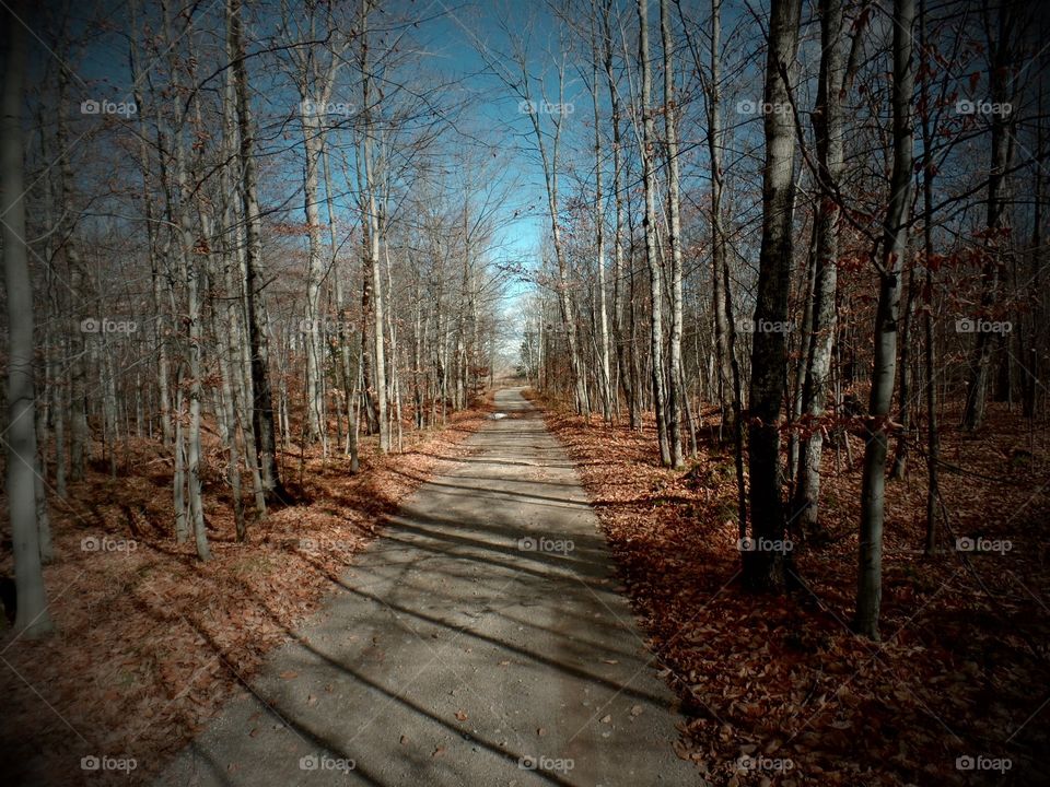 Drummond Island, Michigan 