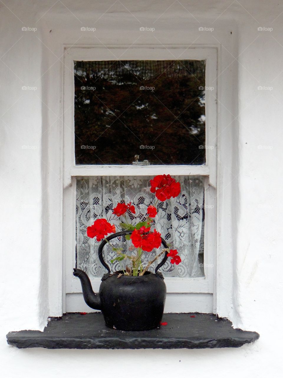 Kettle in a window. A black kettle with red geraniums in a whitewashed window frame