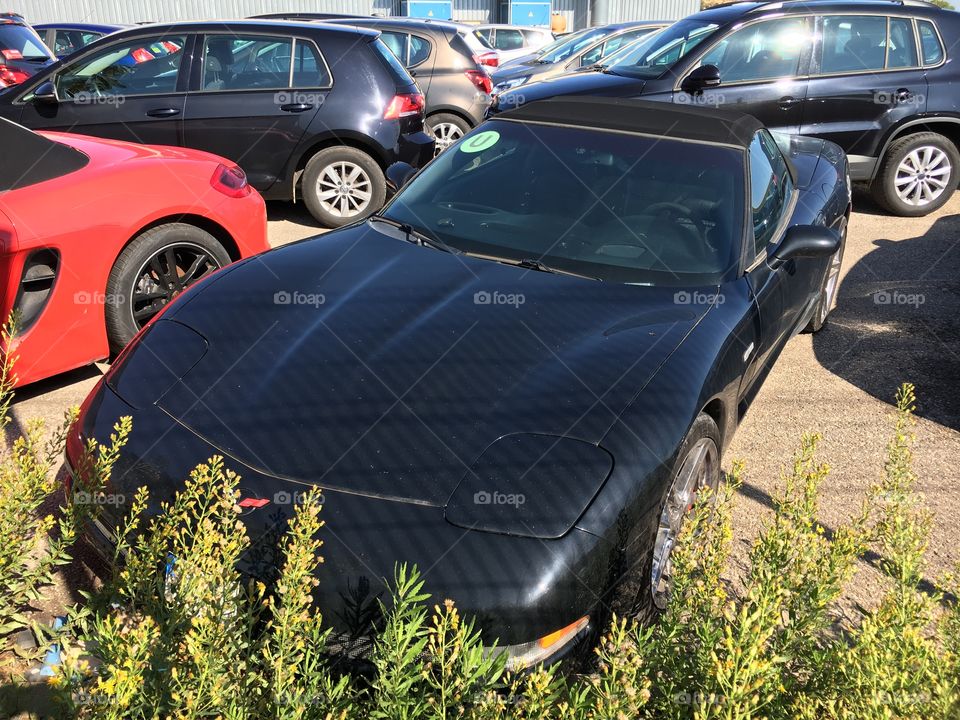 Abandoned Corvette 