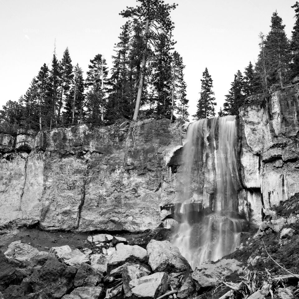 Paulina Falls in the Newberry National Volcanic Monument in Central Oregon rushes over a cliff in a forest of trees on a summer evening.