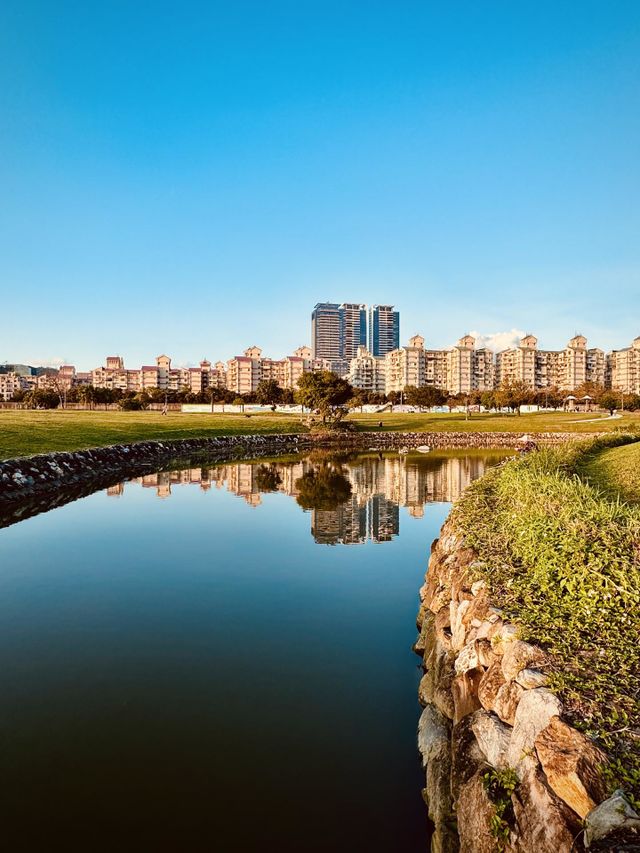 Water reflection 