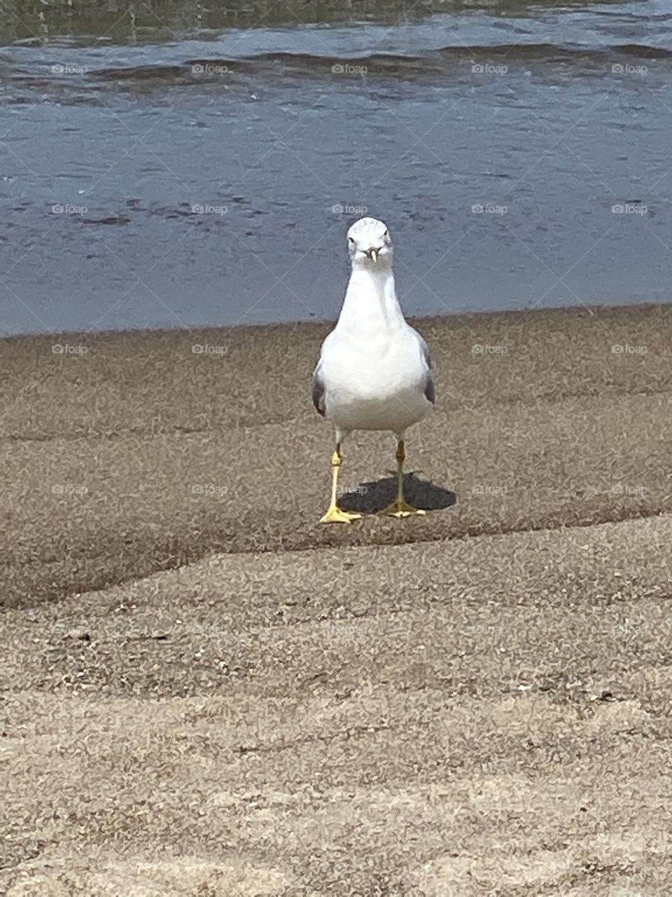 You lookin at me? You must me I’m the only one here 