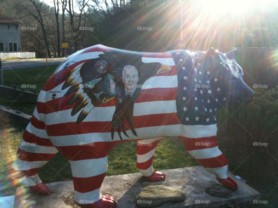 Patriotic Cherokee Bear
