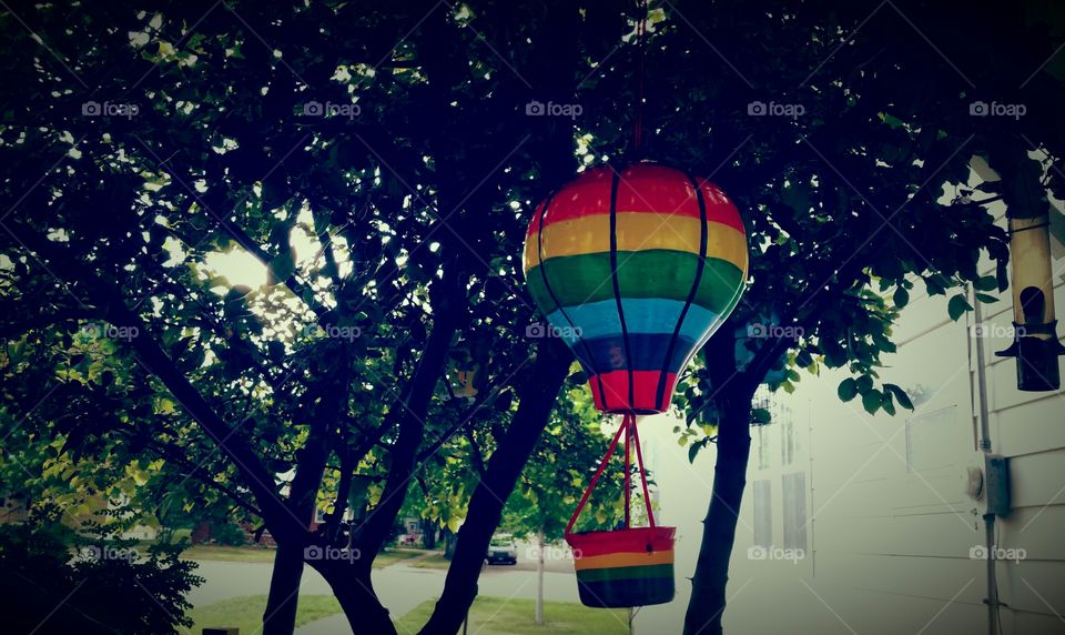 bird feeder balloon