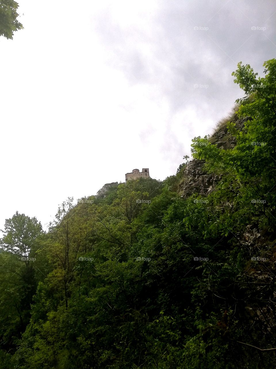 Assen's fortress