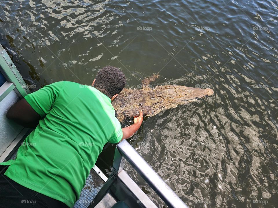 man and crocodile