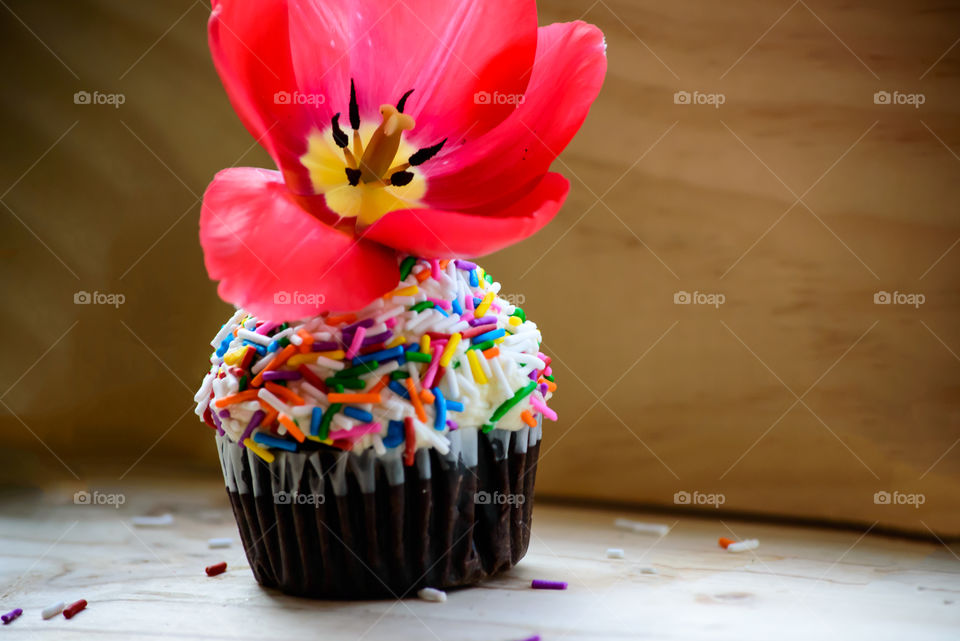 Cupcake for a party - conceptual fun chocolate cupcakes with sprinkles and white frosting with beautiful flower on top festival carnival diversity food art dessert photography