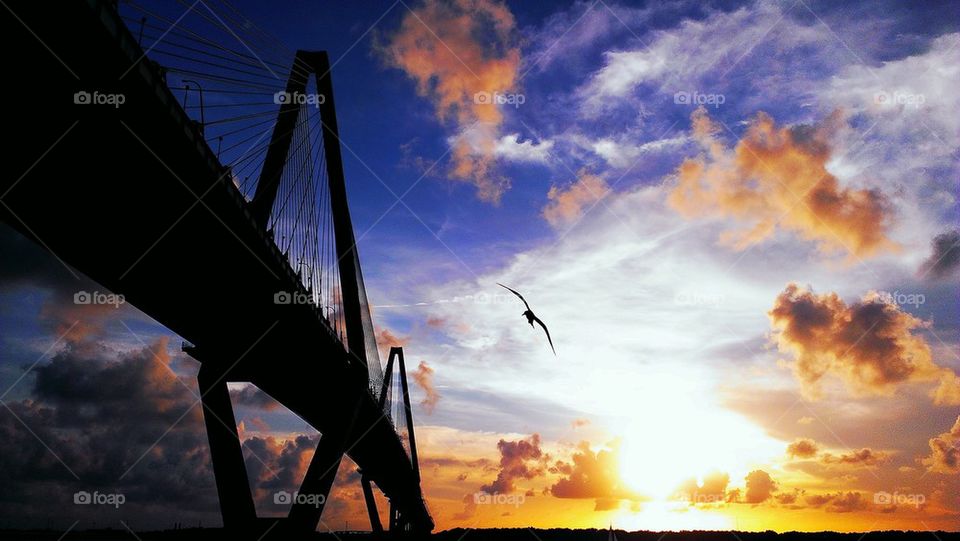 ravenel bridge sunset