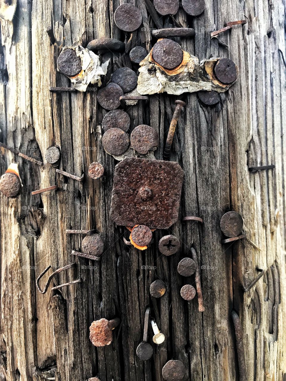 Utility pole