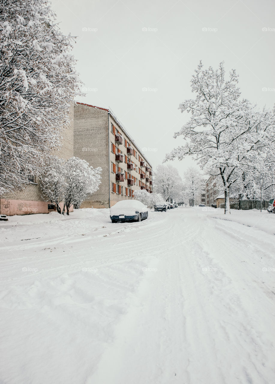 First snow in city.