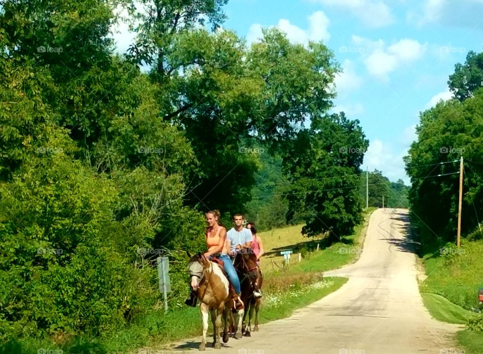 Driving the Back Roads and enjoying everything around us