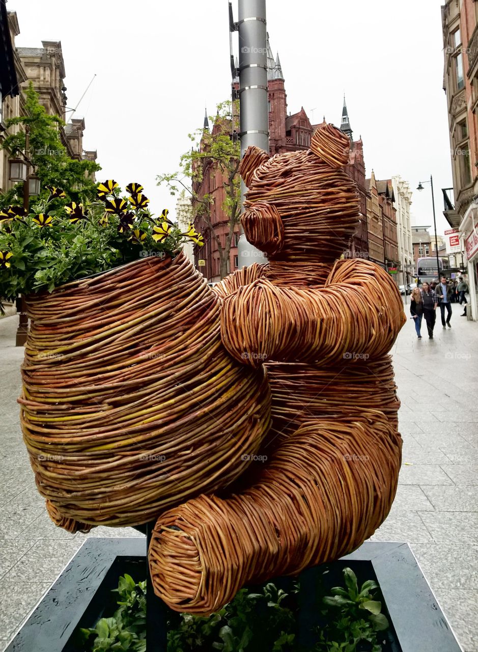 tedy with flowers in city centre