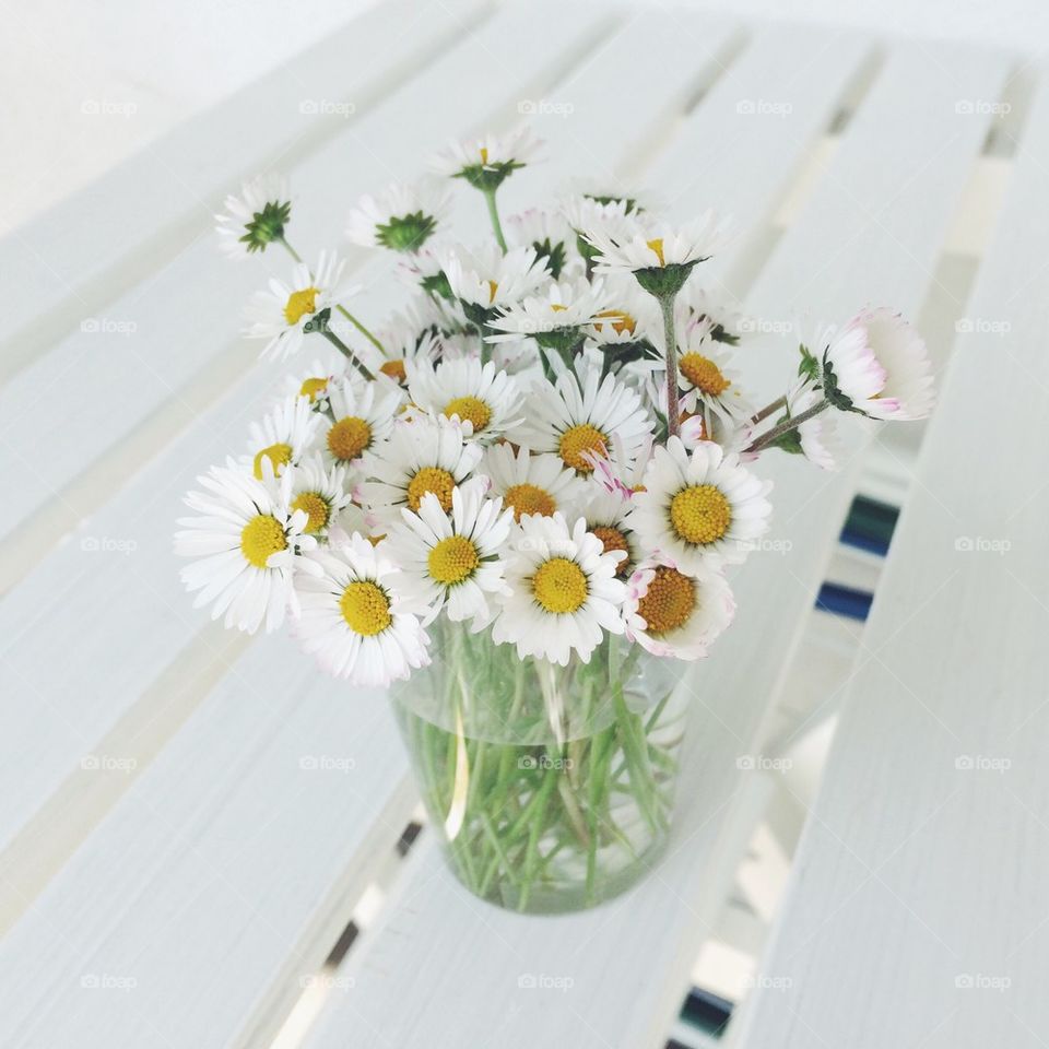 Daisies